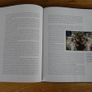 View from Above by Commander Terry Virts  - A National Geographic Publication. Image 5