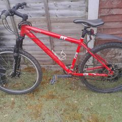 Mountain bike Raleigh freeride