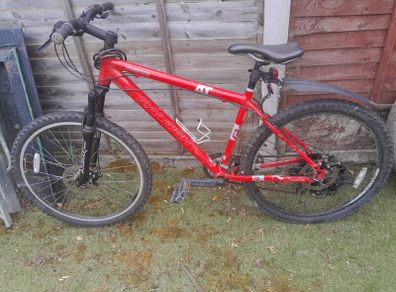 Mountain bike Raleigh freeride
