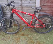 Mountain bike Raleigh freeride