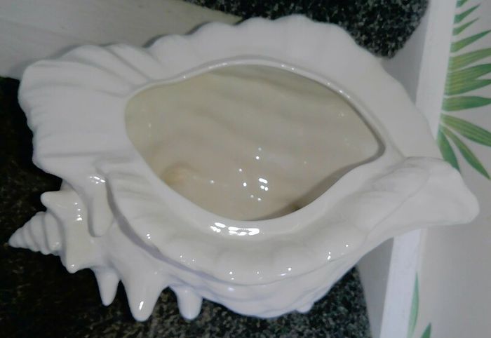 Large Shell / Plant Pot (& free 25 Gladiolus Bulbs!)