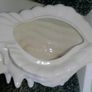 Large Shell Plant Pot 20 euro Image 4