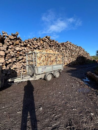 Firewood Kiln dried Beech and Ash.