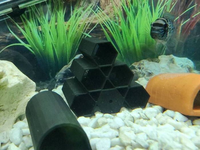 Pleco Caves