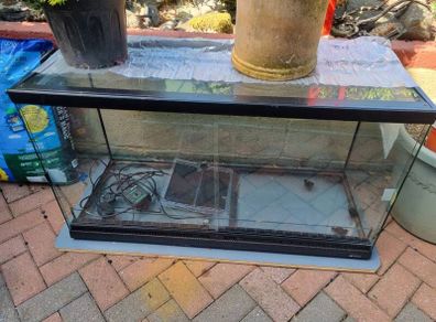 Terrarium