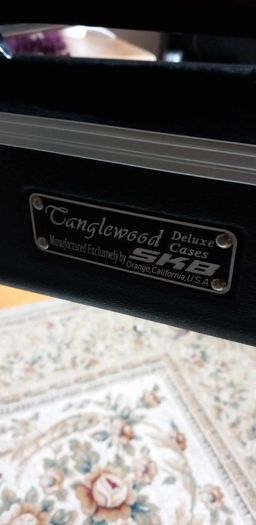Acoustic Bass Guitar Tanglewood