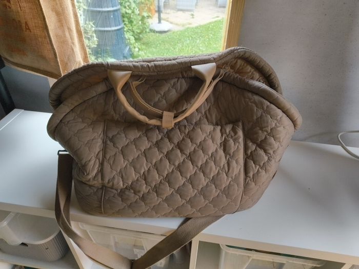 Dog Carrier
