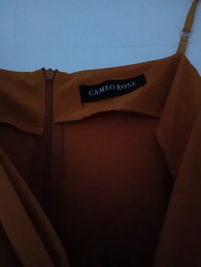 Cameo Rose Dress Size10