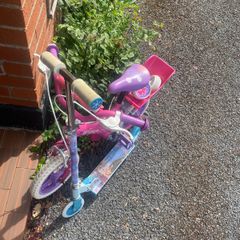 Bike & Scooter