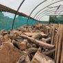 Timber cheapest and best quality Image 3