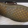 shoes Image 3