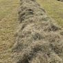Hay for sale Image 2