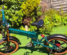 FIIDO M1 Pro Electric Bike