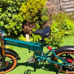 FIIDO M1 Pro Electric Bike