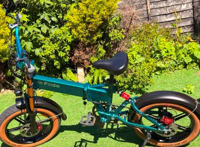 FIIDO M1 Pro Electric Bike