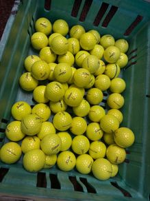 20 Titliest (Prov1) Golf Balls
