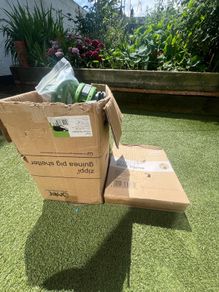 guinea pig tunnels