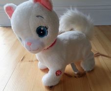 cat toy
