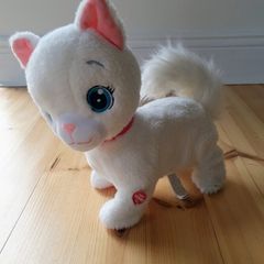 cat toy
