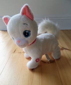 cat toy