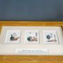 Lovely framed Piglet (Winnie the Pooh) Image 8
