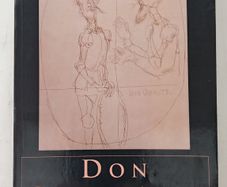 Don Quixote Irish Translation Book
