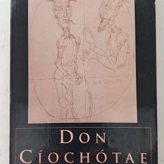 Don Quixote Irish Translation Book