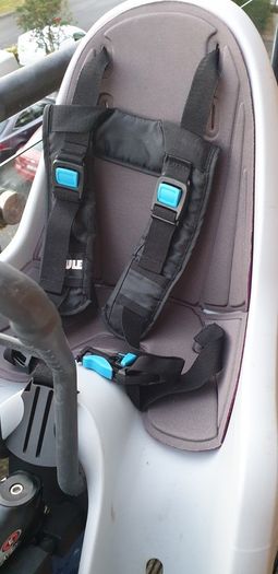 child bike seat