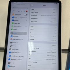 iPad Pro M1