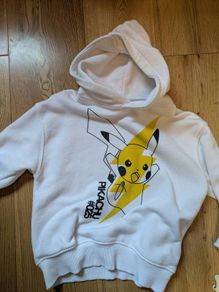 Pokemon hoodie