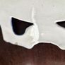 Antique Victorian Staffordshire transferware serving platter Image 4