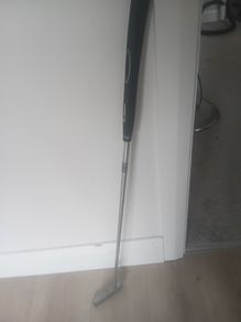 Cobra putter