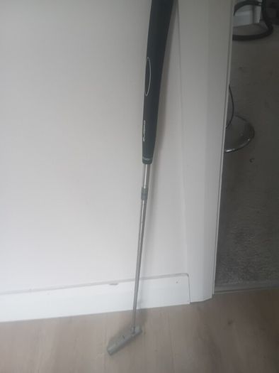 Cobra putter
