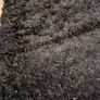 Carpet NEW Image 3
