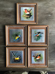 Set of 5 Vintage Wooden Framed Bird Pictures