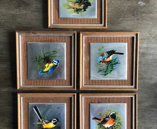 Set of 5 Vintage Wooden Framed Bird Pictures