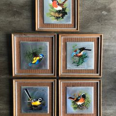 Set of 5 Vintage Wooden Framed Bird Pictures