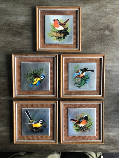 Set of 5 Vintage Wooden Framed Bird Pictures