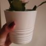 Artificial Plants in Matching Ceramic Plant Pots x3 Image 8