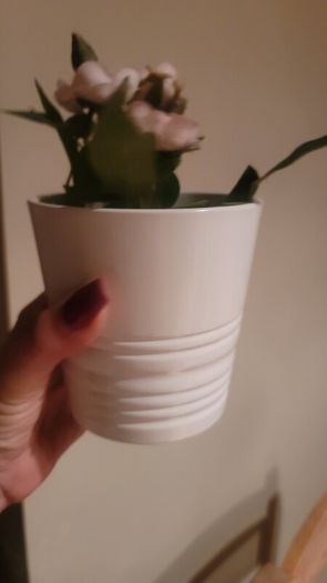 Artificial Plants in Matching Ceramic Plant Pots x3