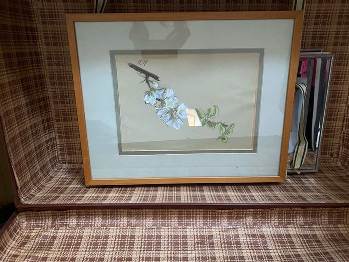 Botanical pastel drawing - framed