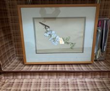 Botanical pastel drawing - framed