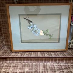 Botanical pastel drawing - framed