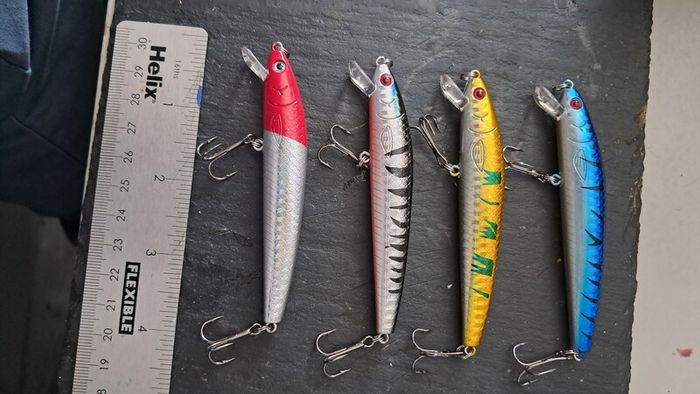 4 Minnows