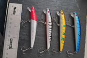 4 Minnows