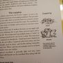 The Natural Garden Handbook / Caroline  Foley 2009 Image 8