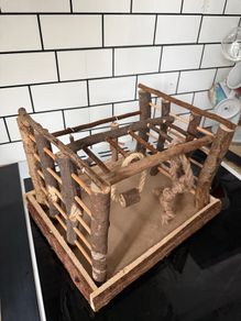 Bird Play Gym