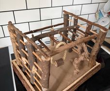 Bird Play Gym
