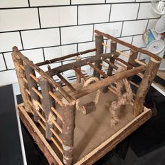 Bird Play Gym