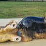 Pair Of Vintage Coopercraft Yorkshire Terrier Image 6